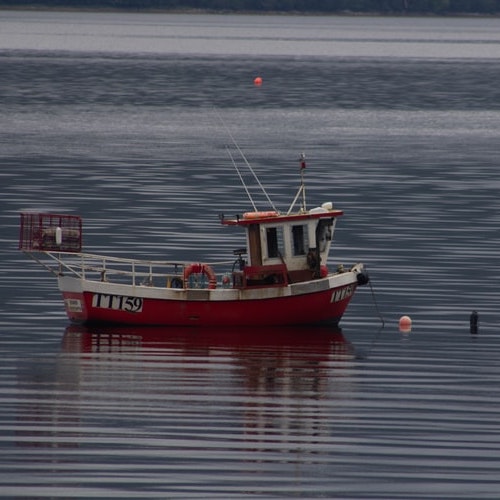 red and white boat on sea during daytime