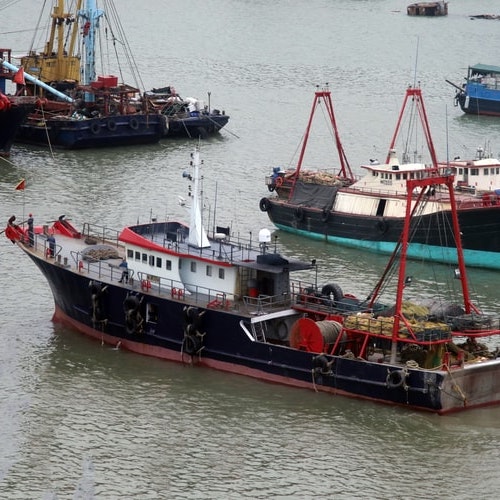 many fishing boats in the sea