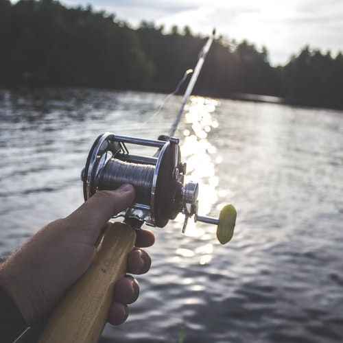 person holding black and silver fishing pole